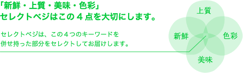 新鮮・上質・美味・色彩をセレクトベジは大切にしています。この4つを持った商品をお届けします。